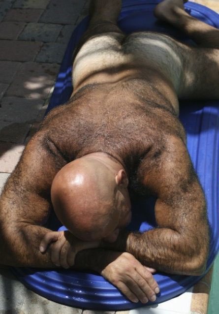trimmer202324's tweet photo. #furryback #hairyman https://t.co/P5rgKe3ljE