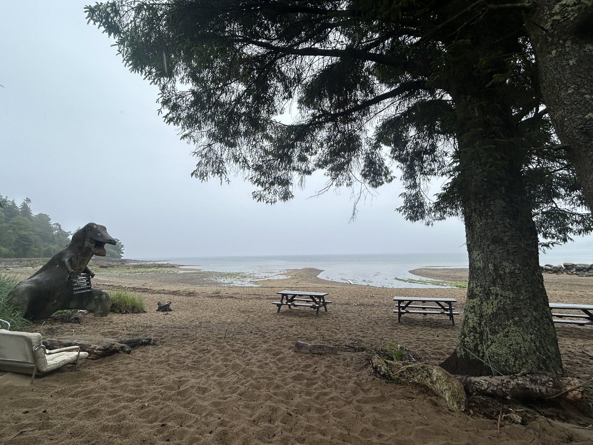 KittyCarrot's tweet photo. Gorgeous on a sunny day, cosy on a dreich Scottish summer day! #VisitArran ๐น๐๏ธ https://t.co/jvgzoR5kHL