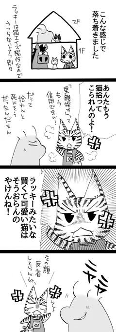 四コマ「その後のラッキー9」
ラッキーが受け入れられて良かったです。

#猫 #御かぞくさま御いっこう #四コマ漫画 