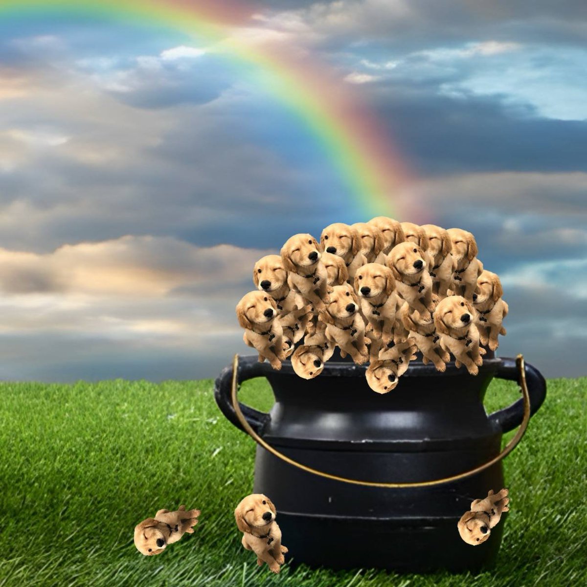 Solana Hero tweet media