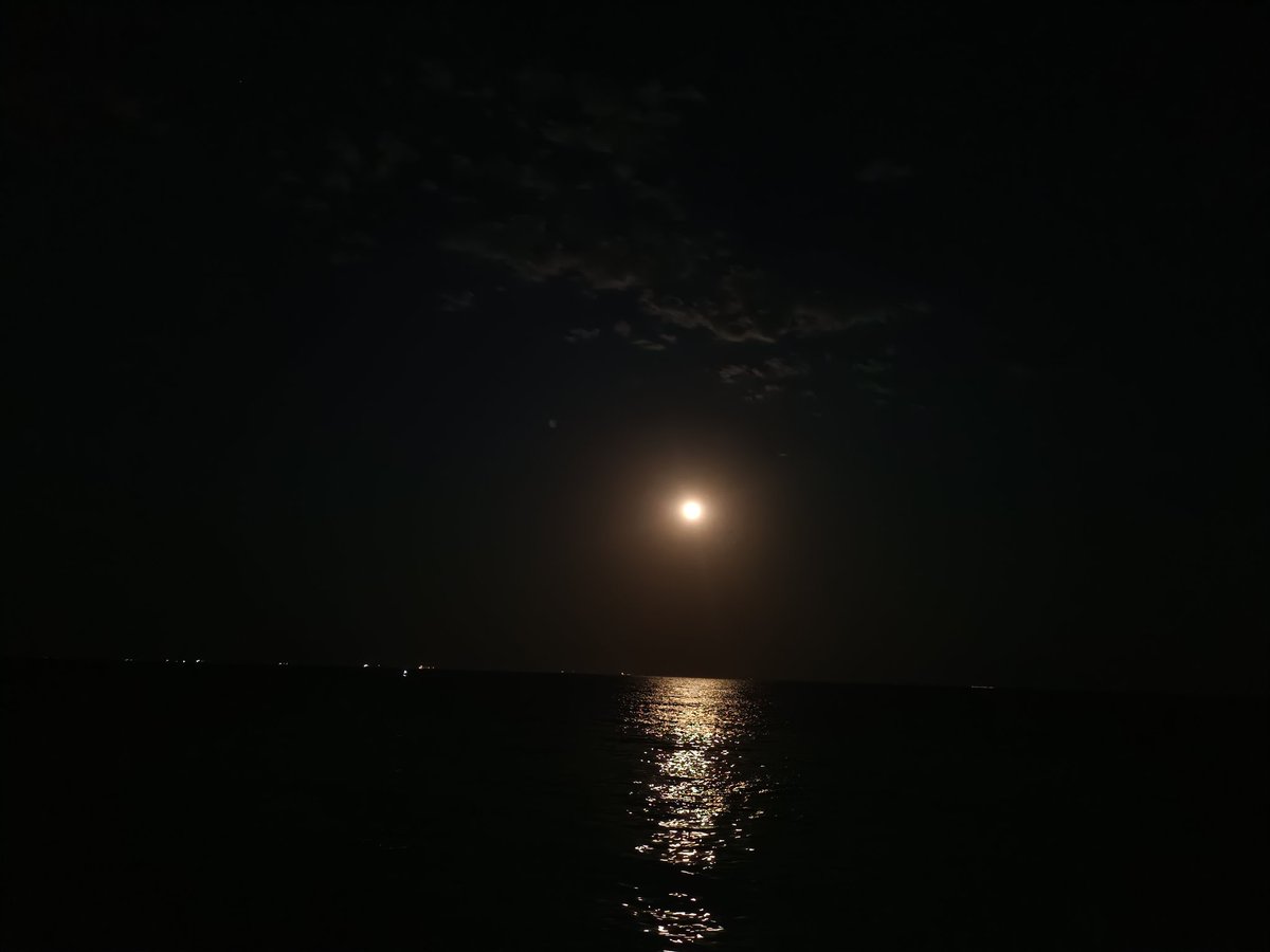 #mersin