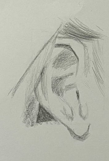 3bdulazim's tweet photo. تكرار الرسم من احسن الطرق اللي جربتها لتعلم الرسم، وخليت احد طلابي يجرب يعيد واجبه
وفعلا فاده الموضوع وقدر ينتبه لتفاصيل ما كان قادر يشوفها بالمحاولة الأولى https://t.co/ihK1ZCbOws