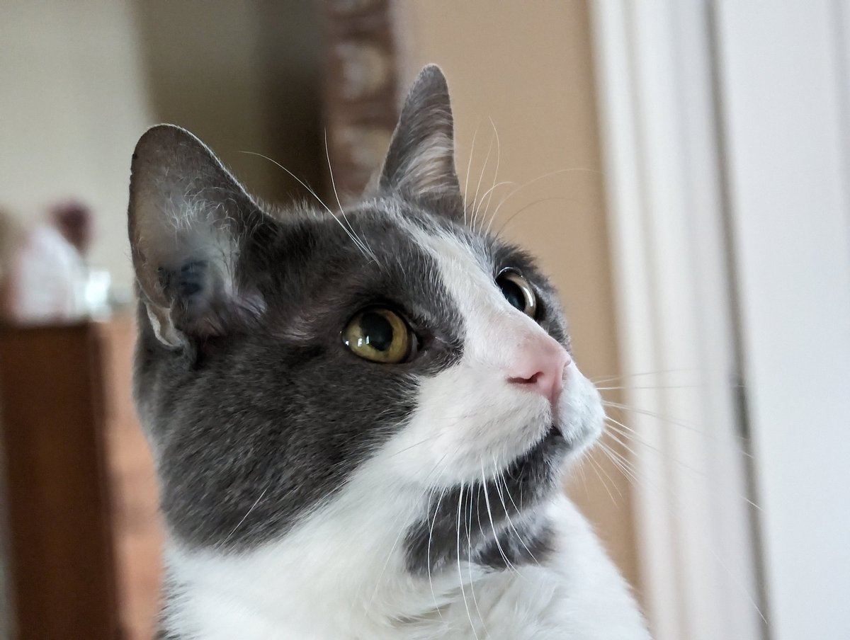 ｍｏｏｎｒｕｎｎｅｒ８３ tweet media