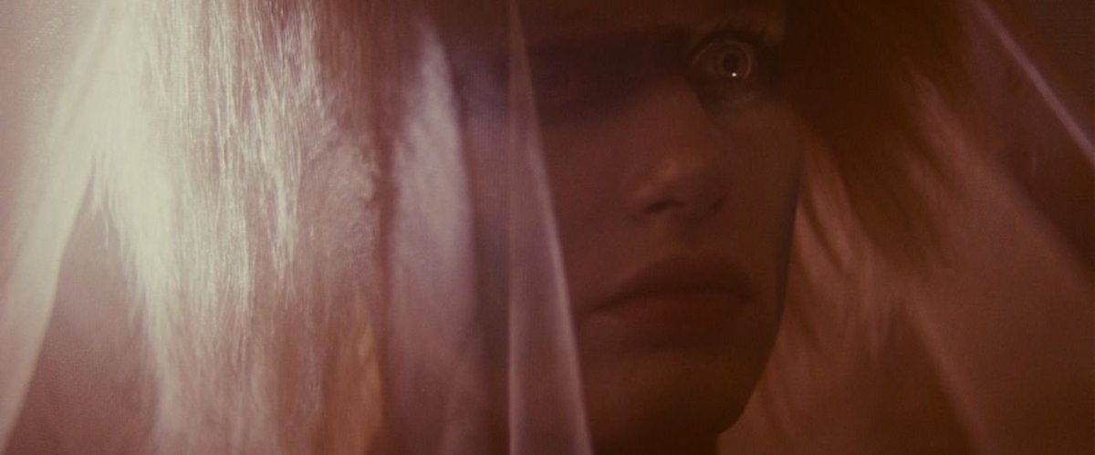 TheCinesthetic's tweet photo. Blade Runner (1982) dir. Ridley Scott https://t.co/bN3LRIi60P
