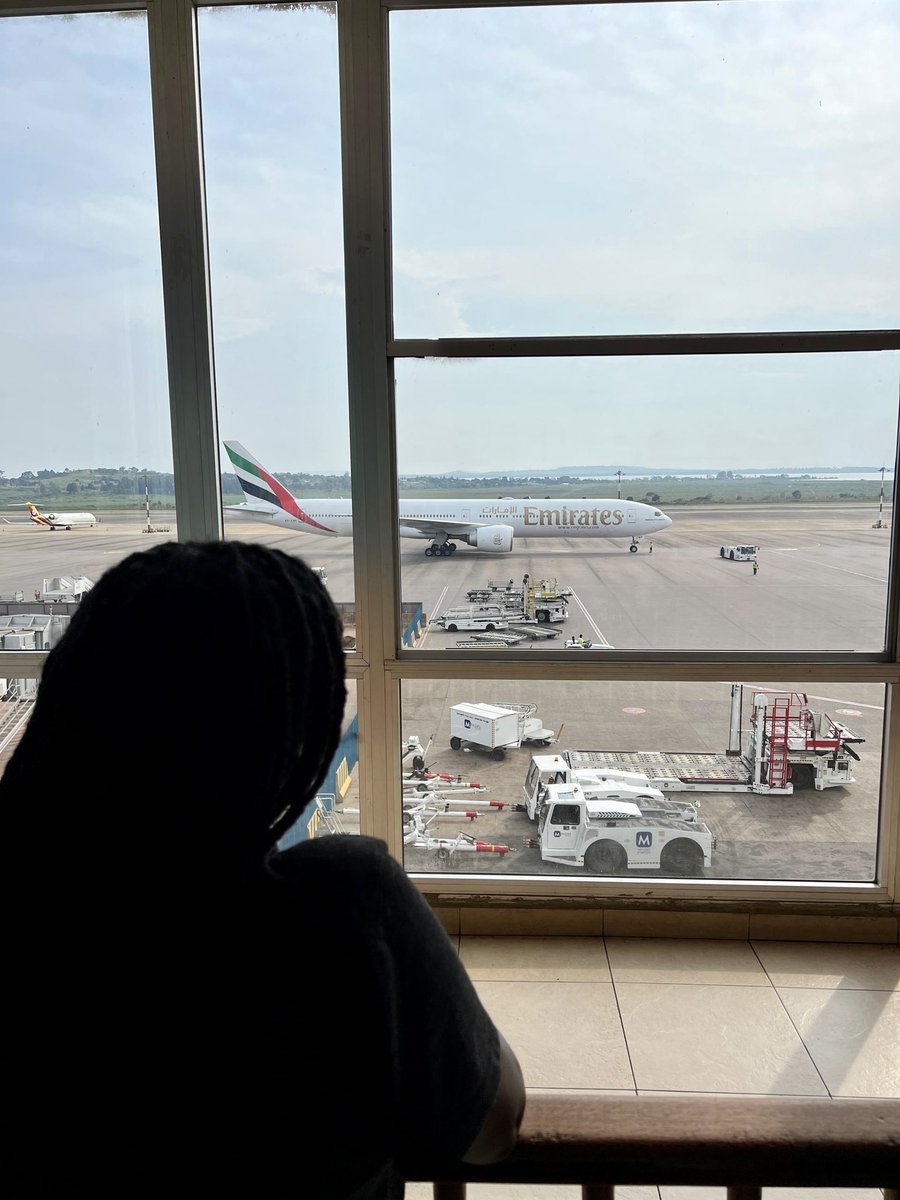 Tess ✈️ tweet media