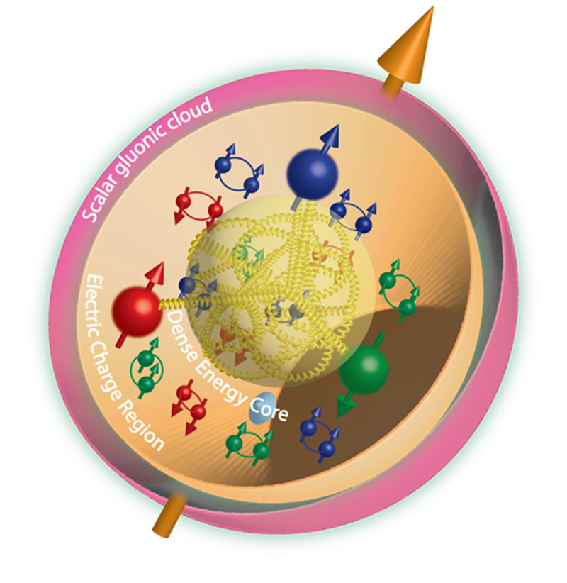 A proton’s valence quarks (blue, red, and green), quark-antiquark pairs, and gluons (springs). Scalar gluon activity (pink) extends beyond the electric charge radius (orange) that surrounds the gluonic energy core (yellow).
Image courtesy of Argonne National Laboratory