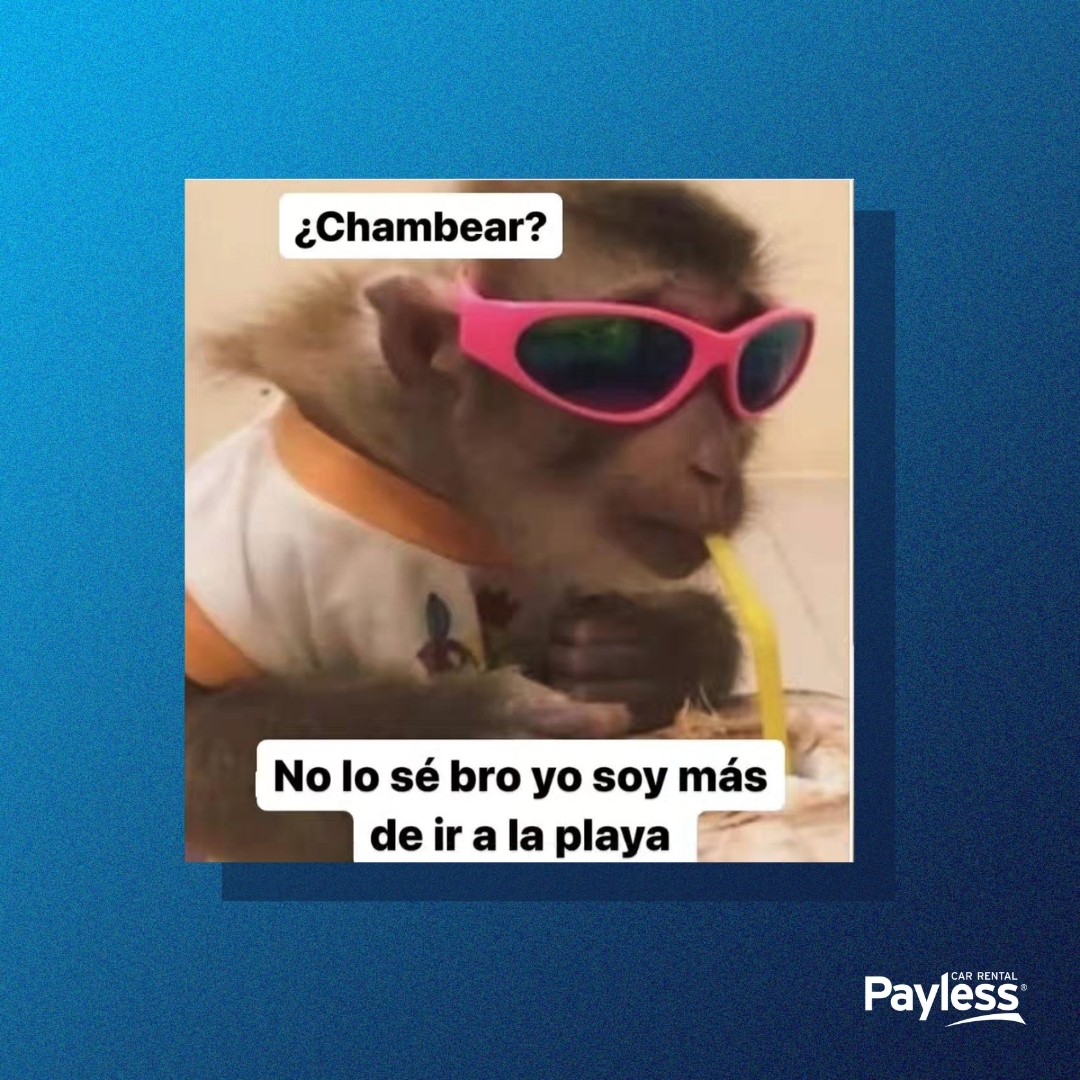 PaylessMexico's tweet photo. No soy quién para negar 🤣
.
.
.
.
.
.
#paylesstrip #rentadeautos #carrental #humor #viajes https://t.co/B8HPrr3WyC
