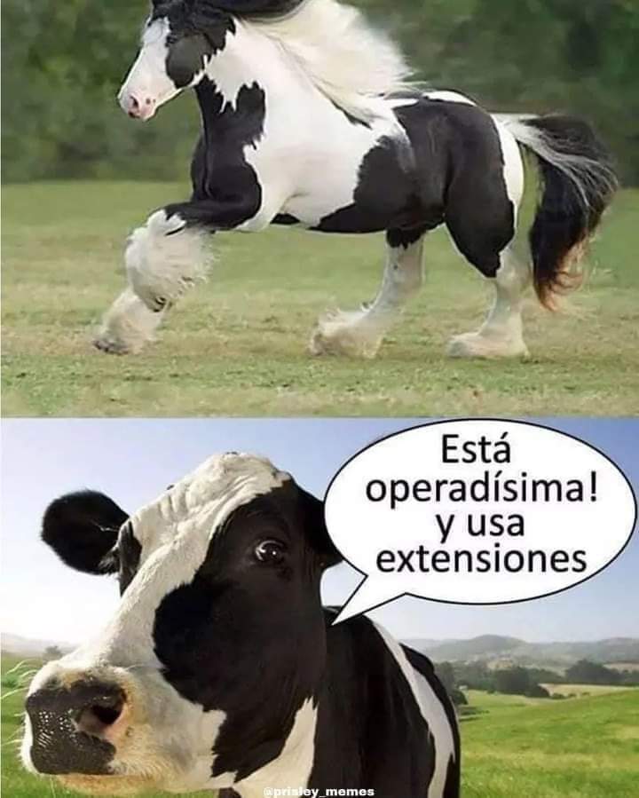 lilianadeteresa's tweet image. 🤓🤣🤣🤣🤣