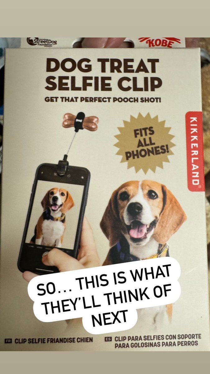 DinaSherman's tweet photo. So your dog looks at the cameraโฆ
#dogs #photos #dogthings https://t.co/7Co0cO9V91