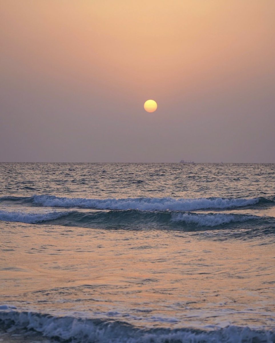 vampl0vrrr's tweet image. haifa, palestine.