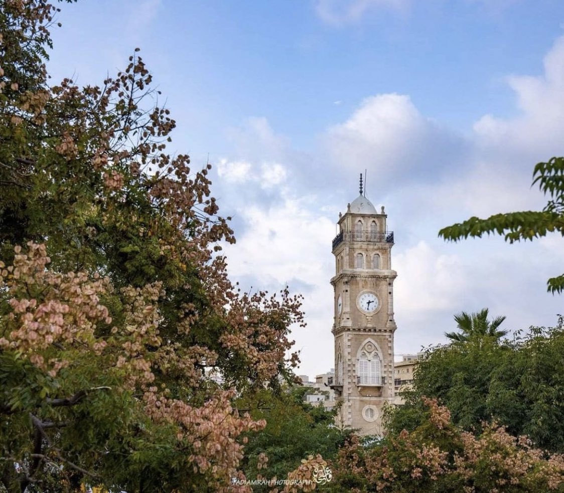 vampl0vrrr's tweet image. haifa, palestine.