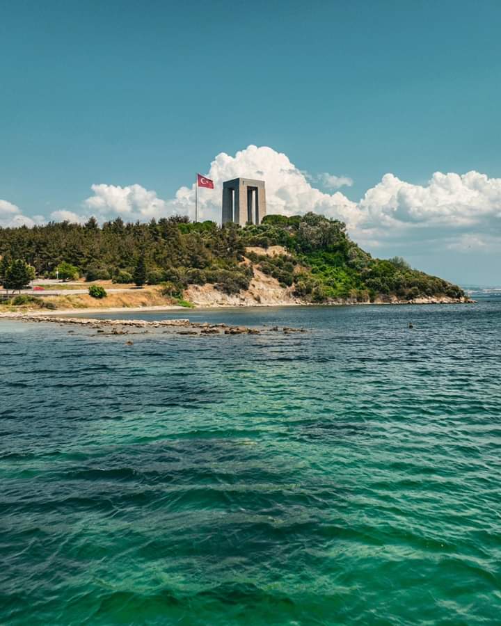 Kale.17.cem 17. (@kale1700644113) on Twitter photo 