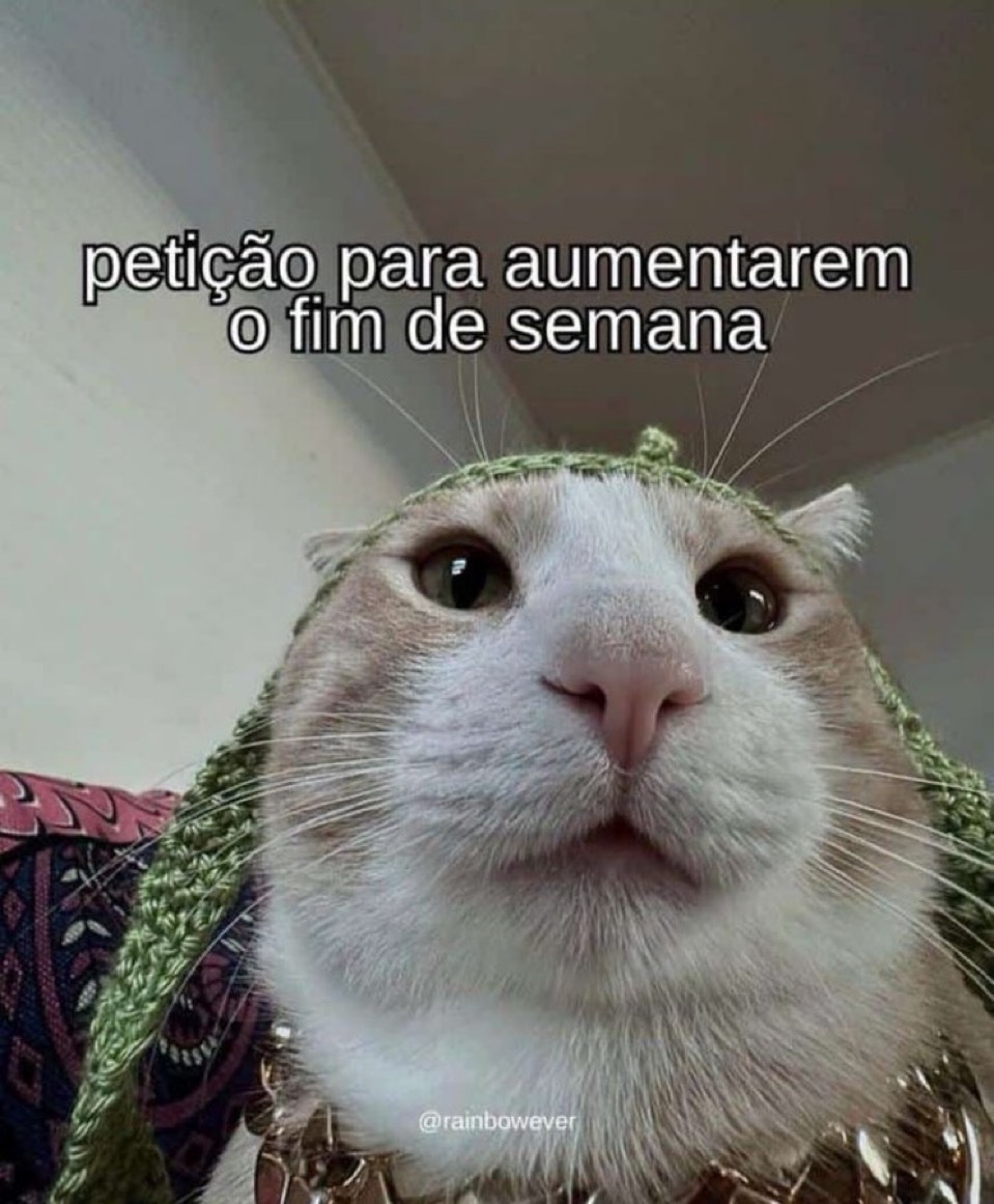 euovitinn tweet picture