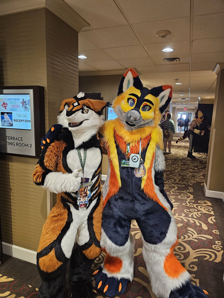 Sora 🔜 Midnight Animals tweet media