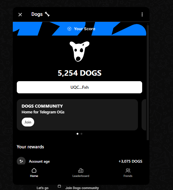 gustavobchain's tweet photo. @realDogsHouse How can I send my DOGS from the airdrop to bitget? I don't see the option to withdraw. I don't see them in my telegram wallet either https://t.co/o2H7rhRrA4