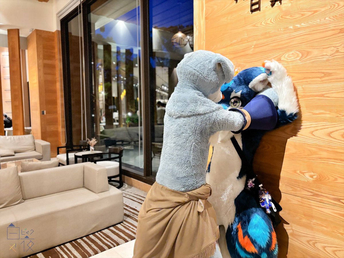ByakuyaCoyote's tweet photo. #FurMIT24 #pdtk 

以上が今回のプロチームの写真です！

クラウドリンクを添付しています、非商業目的であれば自由に使用できます！

気に入っていただき、本当にありがとうございます！🙏🙏

（未投稿の写真も含まれています）

https://t.co/Qg7rixk8RE https://t.co/K2s5Qq2z8A