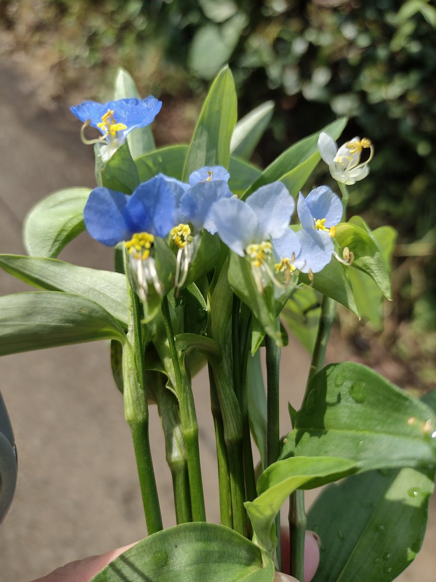 結構、カラフルなんだと思う