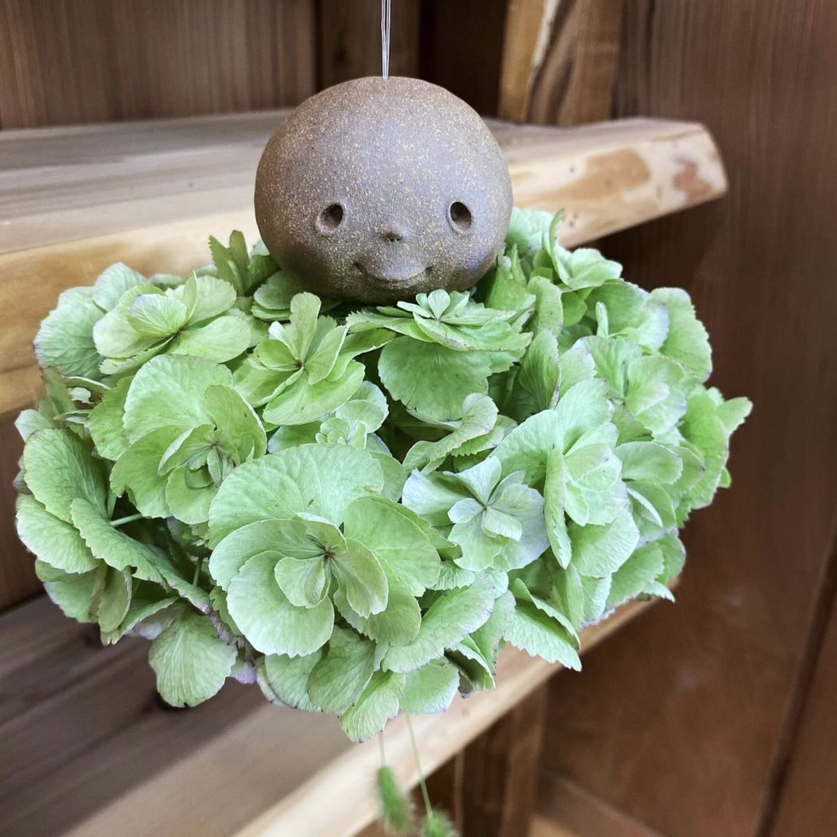 初日から暑い中ご来場いただきどうもありがとうございました☀️
残っているのはこちらの1点だそうです。
よろしくおねがいします。
（写真はギャラリーの方がドライフラワーでアレンジしてくれたもの🥰
実際は違うエアプランツがついています。）