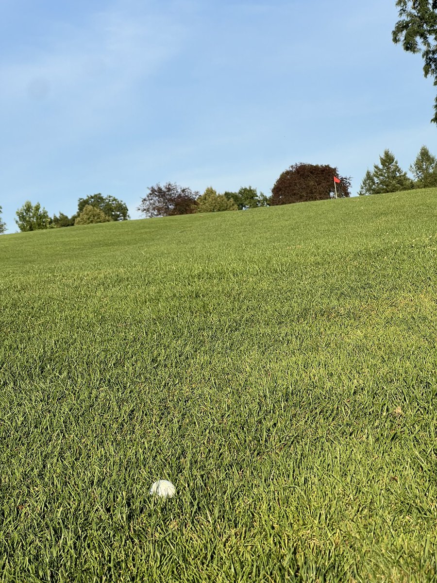 Would you hit this ball?