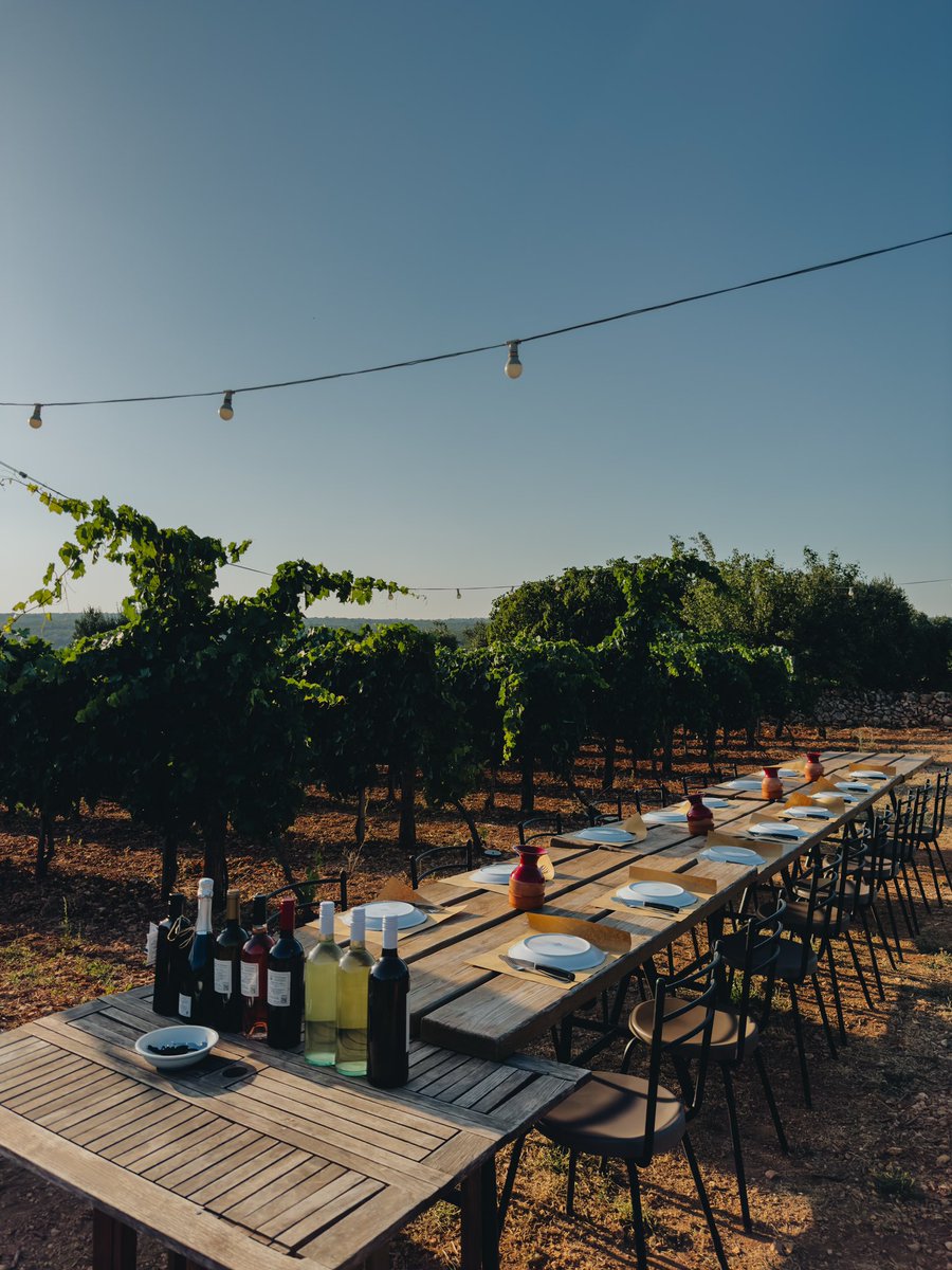 Kaveoghan's tweet photo. Such a wonderful experience, wine and food tasting from the land and sea of Puglia! ✨🇮🇹🍇 https://t.co/h3JY3Ir9EB