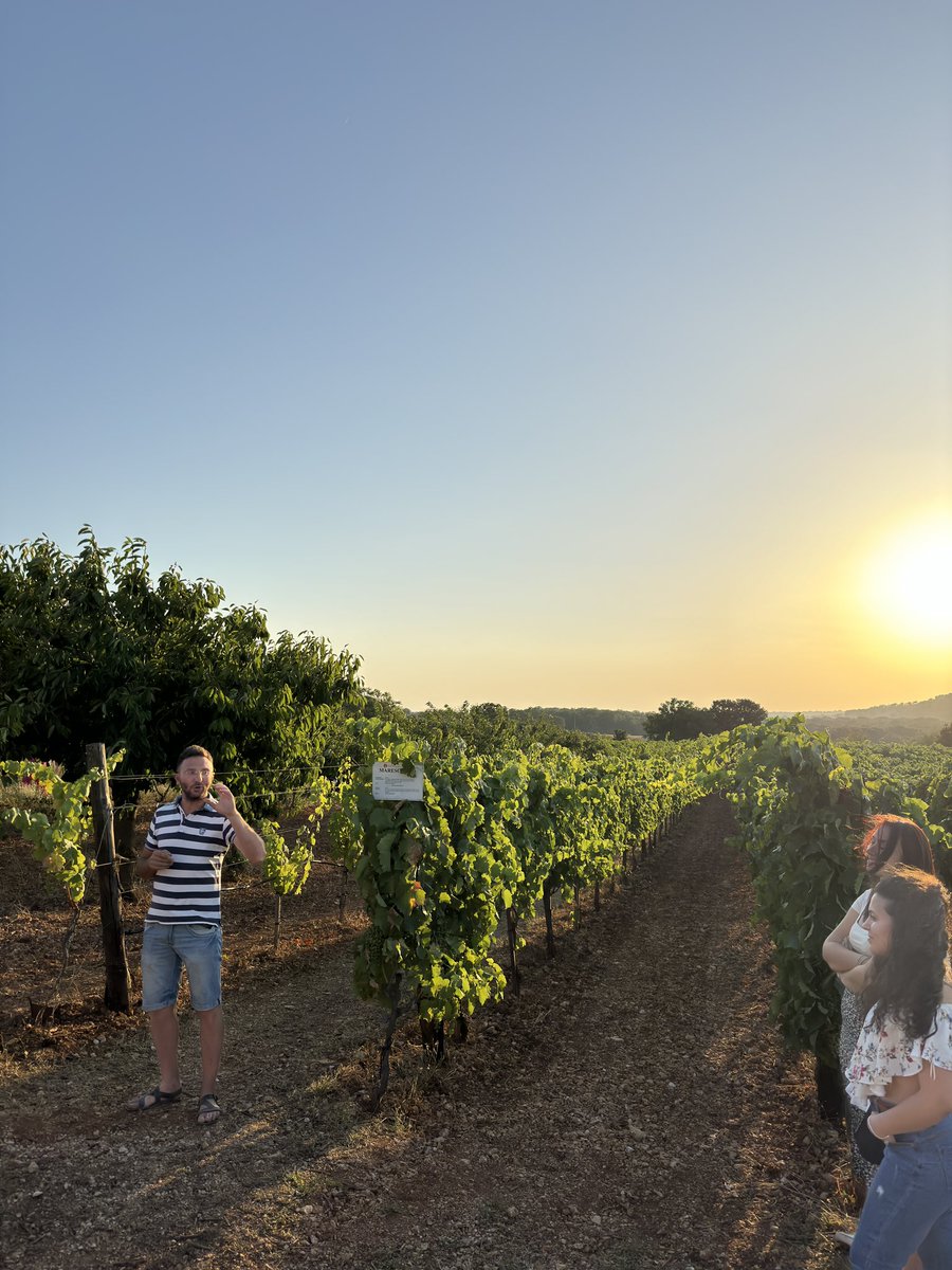 Kaveoghan's tweet photo. Such a wonderful experience, wine and food tasting from the land and sea of Puglia! ✨🇮🇹🍇 https://t.co/h3JY3Ir9EB