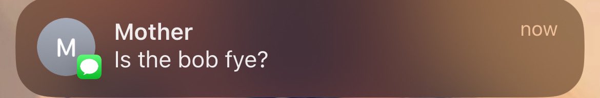 mari tweet media