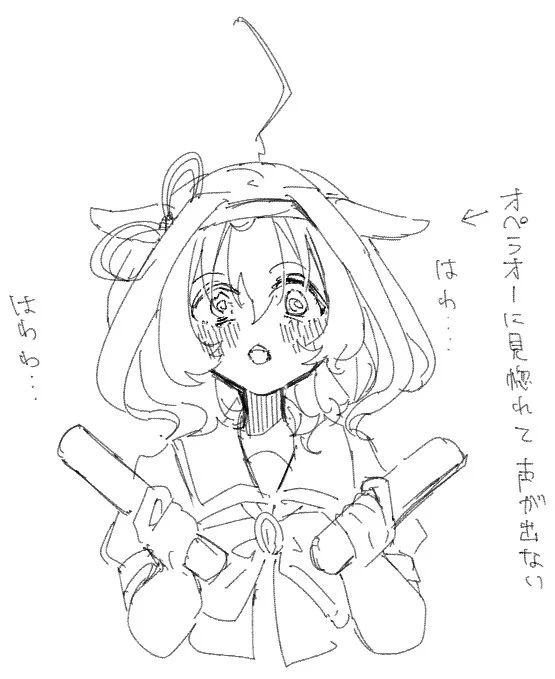 きのうの応援上映こんな感じだった 