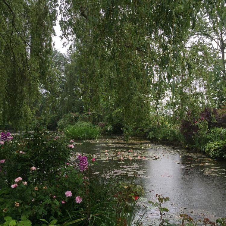 𝑚𝑜𝑟𝑔𝑎𝑛 🦌 (@luxelarke) on Twitter photo 