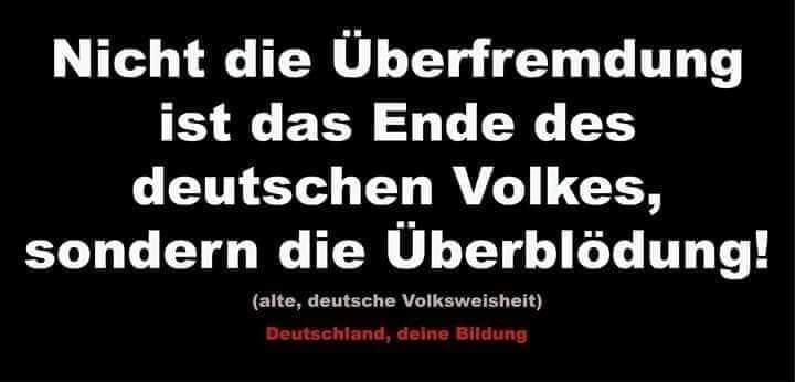 deswegen....#noafd