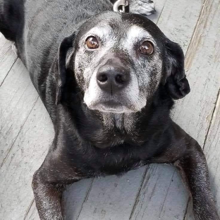 Beyond The Leash tweet media