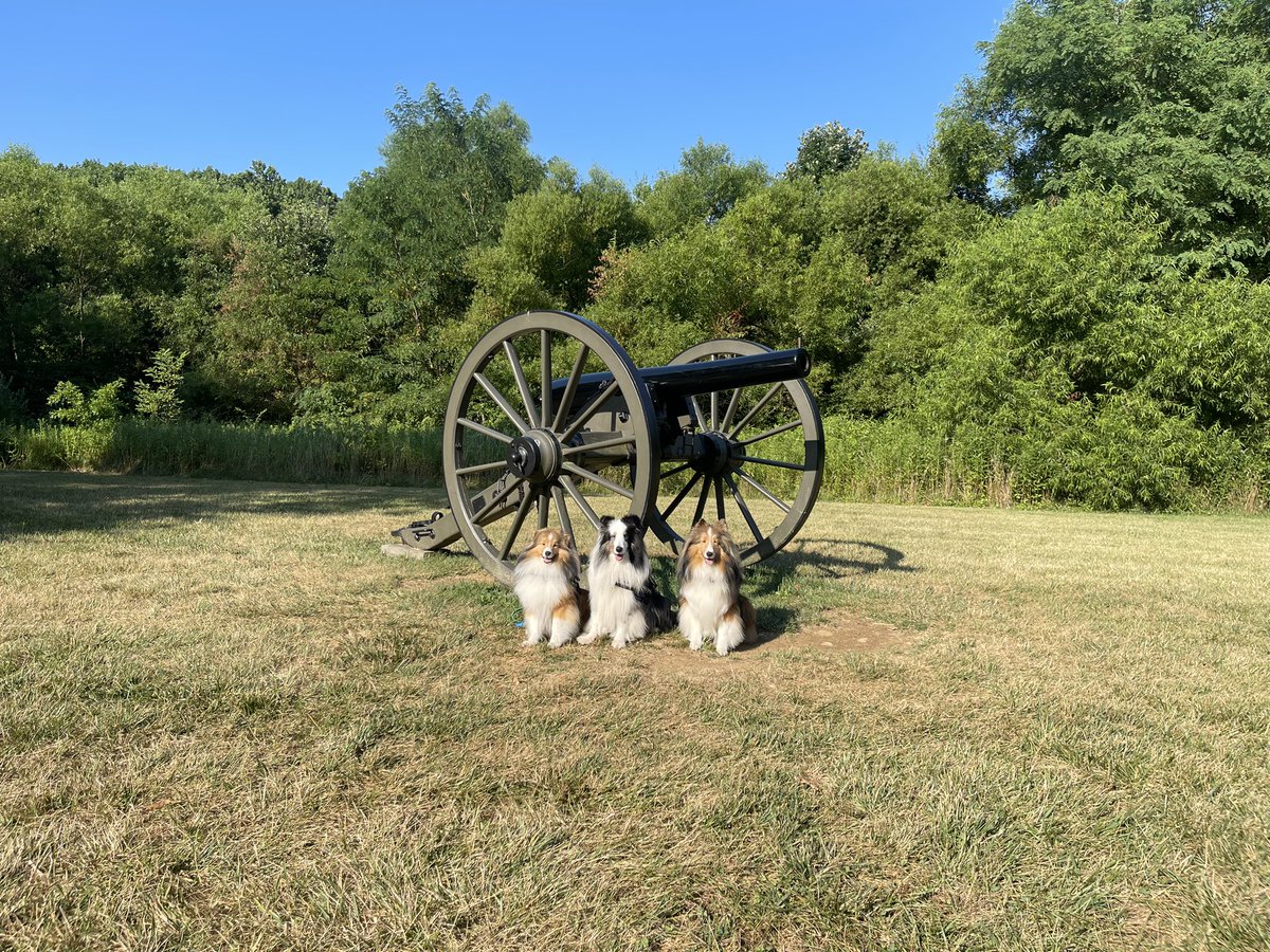 TravelShelties's tweet photo. The #TravelingShelties make it to Gettysburg. Taking in the sites and enjoying some warm weather camping.  The adventuring continues. https://t.co/sN8mwWEvZf