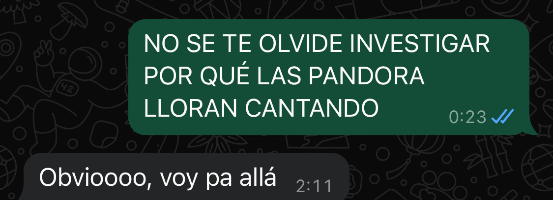 PosGuauPerra's tweet photo. Es que hay temas que se tienen que investigar de inmediato. https://t.co/tSvULon5LK