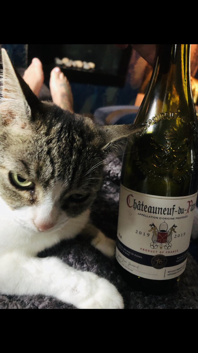 Tracey Jane Austin tweet media