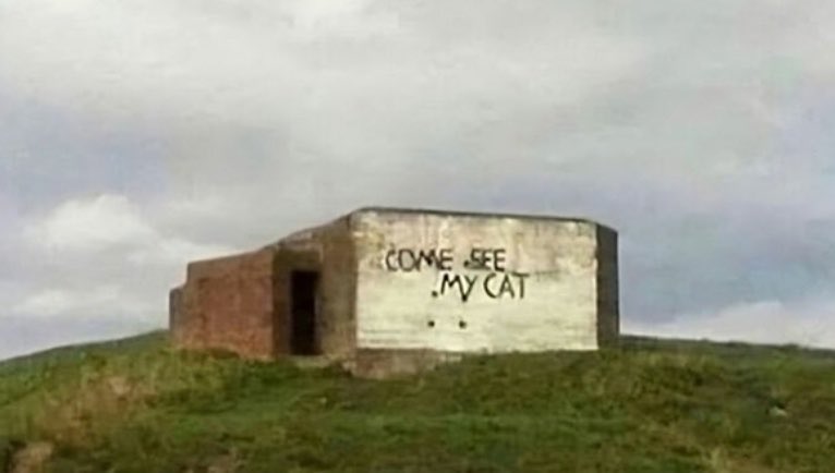 Dr Helen Ingram tweet media