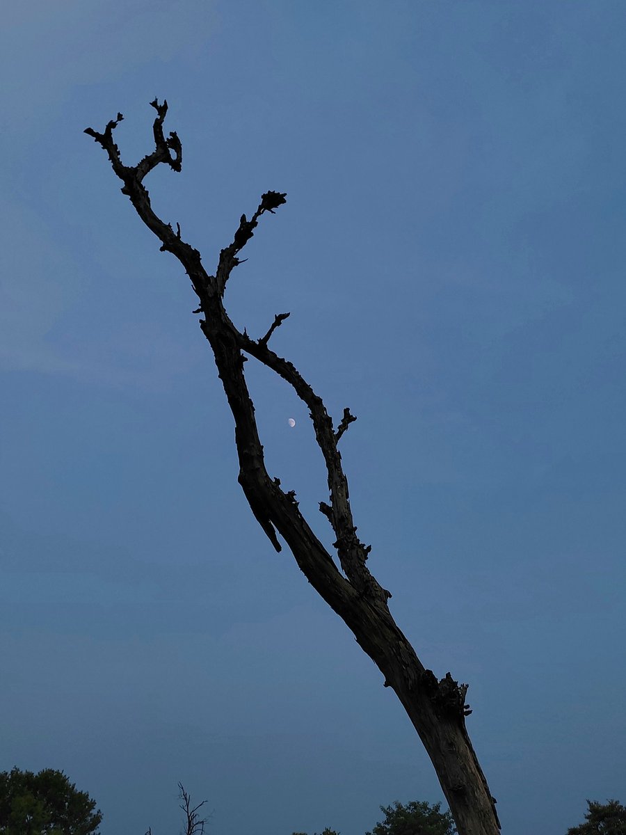i_Quercus's tweet photo. But how could you live and have no story to tell? https://t.co/ME03AGe9Tl