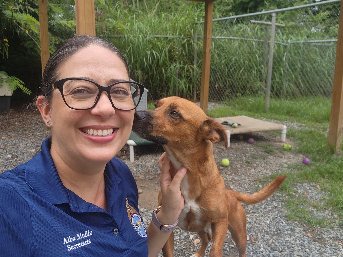SASFAPR's tweet photo. ARRANCA HOY PA' PETSMART
Alba y Carmelo te invitan a darte la vuelta por el PetSmart de Mayagüez para que adoptes a tu nuevo mejor amigo.
Personal del #Sasfapr estará allí de 3:00 p.m. a 6:00 p.m. con varios perritos y gatitos listos para irse a un hogar.
¡Te esperamos! https://t.co/FOF7PkKcd4