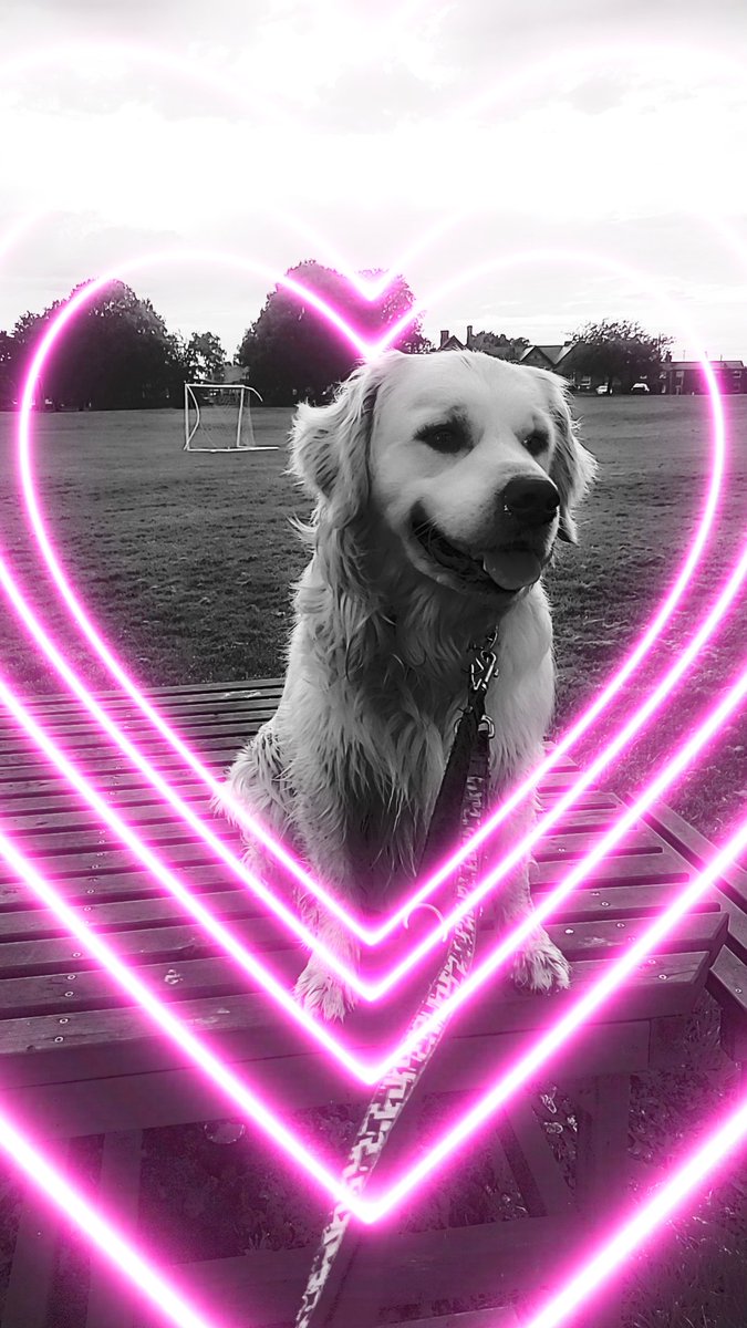 Why do humans do this? I should be unfiltered!