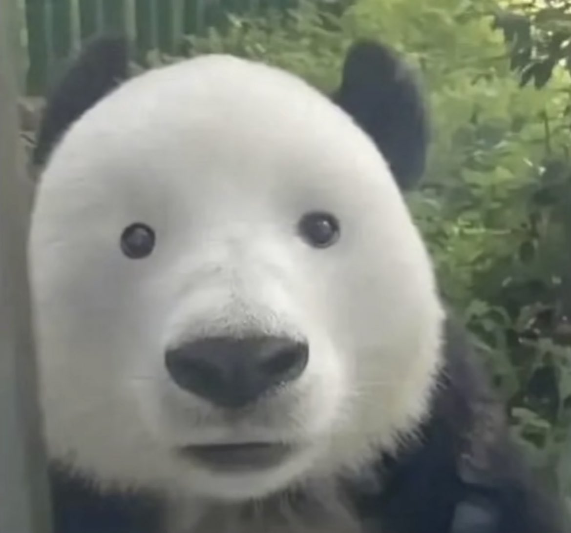 veH⛽️ny (@veh0rny) on Twitter photo 