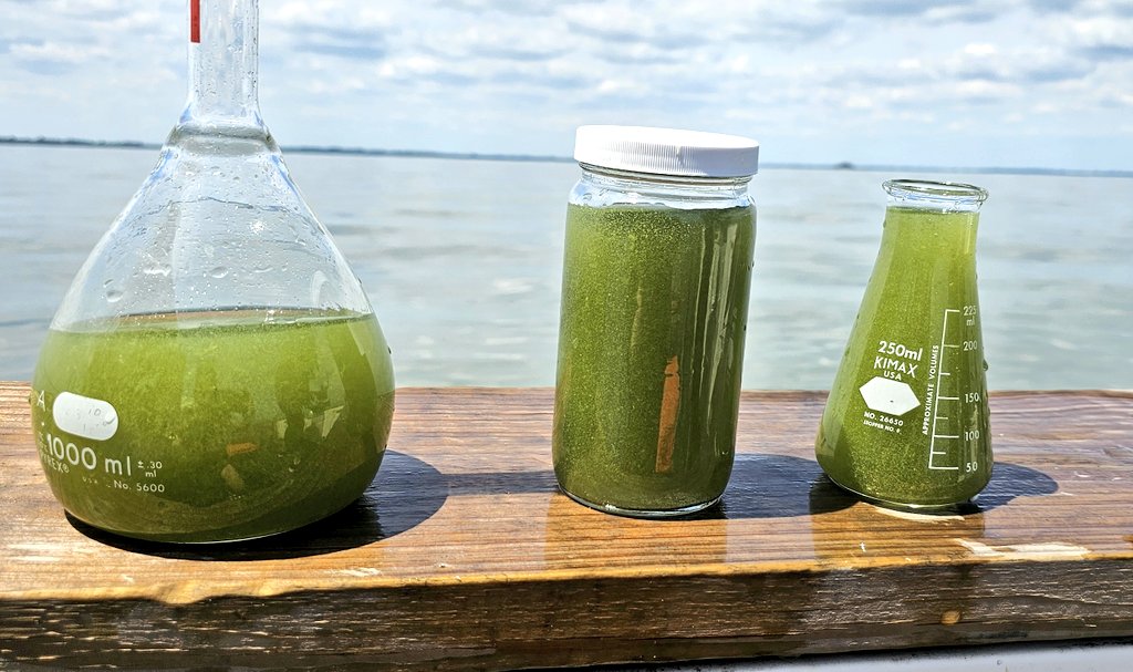 Eddie Verhamme tweet media