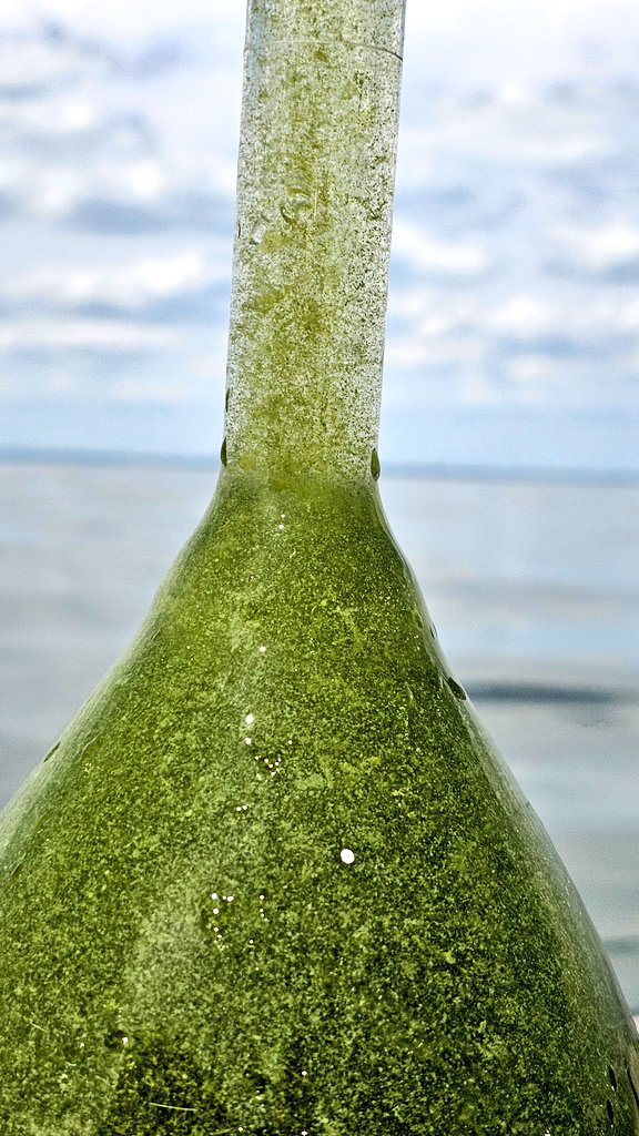 Eddie Verhamme tweet media