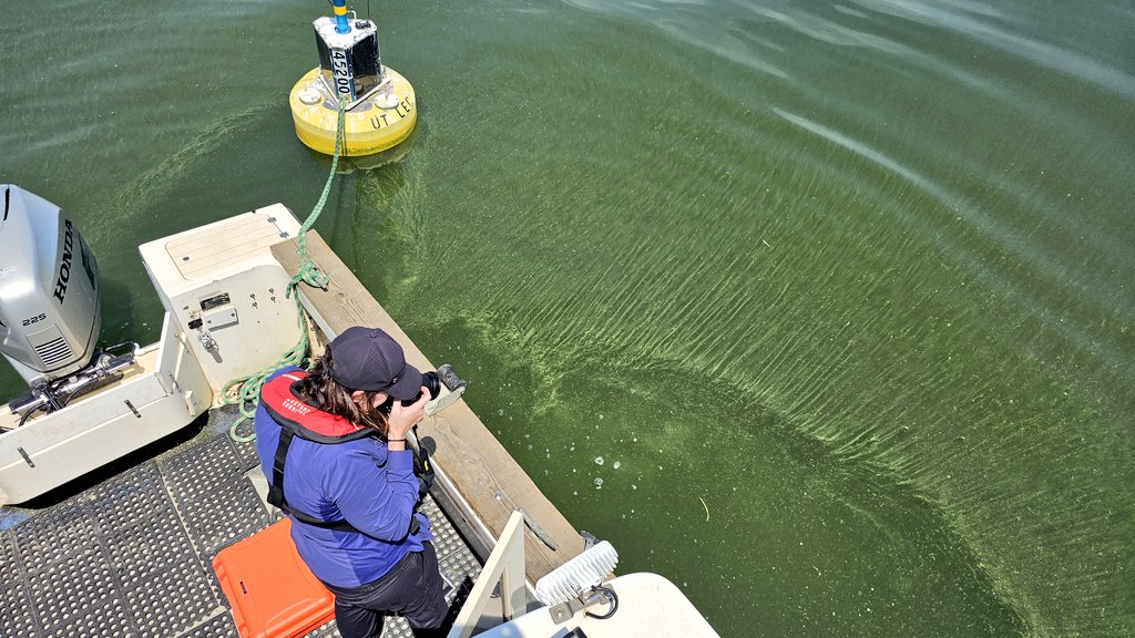 LAKE ERIE: Taking a look at the current state of the bloom #GreatLakes. It's getting pretty green out here.