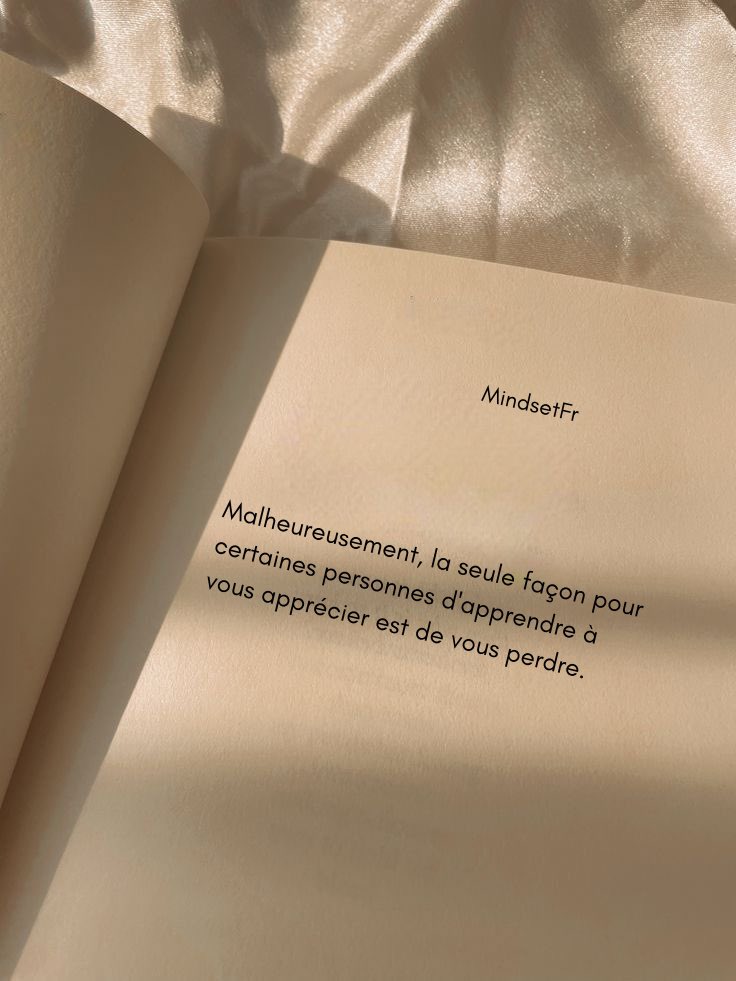 Mindset_FR's tweet photo. ___🪶 https://t.co/iOyi2ZFV0x