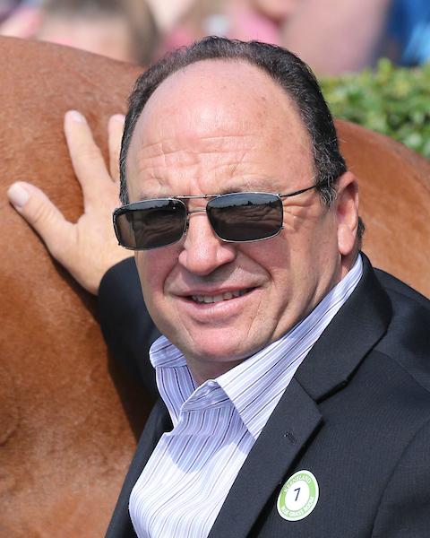 Joe Kristufek (@joeydakracing) on Twitter photo With a pair of turf sprint wins today <a href="/EllisParkRacing/">Ellis Park Racing & Gaming</a> -- La Foret at 5-1 in race 2 and Honeyquist at 14-1 in race 6 -- <a href="/CATRacingStable/">Wayne Catalano</a> is now just one victory shy of 3,000 career as a trainer. The "Cat Man" also won 1,792 races as a jockey. Catalano's next scheduled start is in With a pair of turf sprint wins today <a href="/EllisParkRacing/">Ellis Park Racing & Gaming</a> -- La Foret at 5-1 in race 2 and Honeyquist at 14-1 in race 6 -- <a href="/CATRacingStable/">Wayne Catalano</a> is now just one victory shy of 3,000 career as a trainer. The "Cat Man" also won 1,792 races as a jockey. Catalano's next scheduled start is in