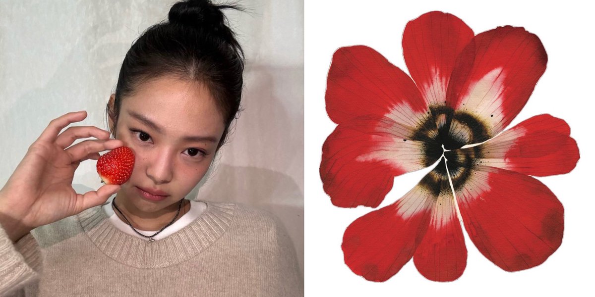 solobyruby's tweet image. 