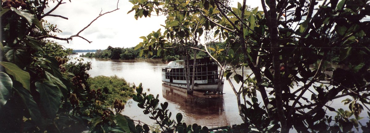 Down the river of time without a paddle lindacollison.com/amazon-river-c…