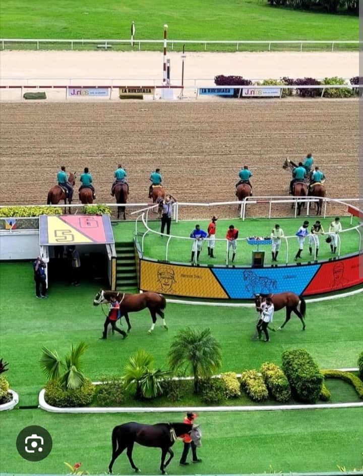 Ervin José Herrera (@ervinherrera26) on Twitter photo *LVI CLASICO "GENERAL JOAQUIN CRESPO"*
*SELLA TU 5Y6 ACUMULADOS MUY INTERESANTES TE INVITAMOS A CONTACTARNOS 📱04142426158 🐎🇻🇪 LA RINCONADA
*TWITTER <a href="/ervinherrera26/">Ervin José Herrera</a>*
*INSTAGRAM <a href="/ervinherrera26/">Ervin José Herrera</a>*
*TIK TOK <a href="/ervinherrera26/">Ervin José Herrera</a>*
*LINEA DEL 5Y6*
*3ERA VÁLIDA 👉 # 10 PINTORESCA* *LVI CLASICO "GENERAL JOAQUIN CRESPO"*
*SELLA TU 5Y6 ACUMULADOS MUY INTERESANTES TE INVITAMOS A CONTACTARNOS 📱04142426158 🐎🇻🇪 LA RINCONADA
*TWITTER <a href="/ervinherrera26/">Ervin José Herrera</a>*
*INSTAGRAM <a href="/ervinherrera26/">Ervin José Herrera</a>*
*TIK TOK <a href="/ervinherrera26/">Ervin José Herrera</a>*
*LINEA DEL 5Y6*
*3ERA VÁLIDA 👉 # 10 PINTORESCA*