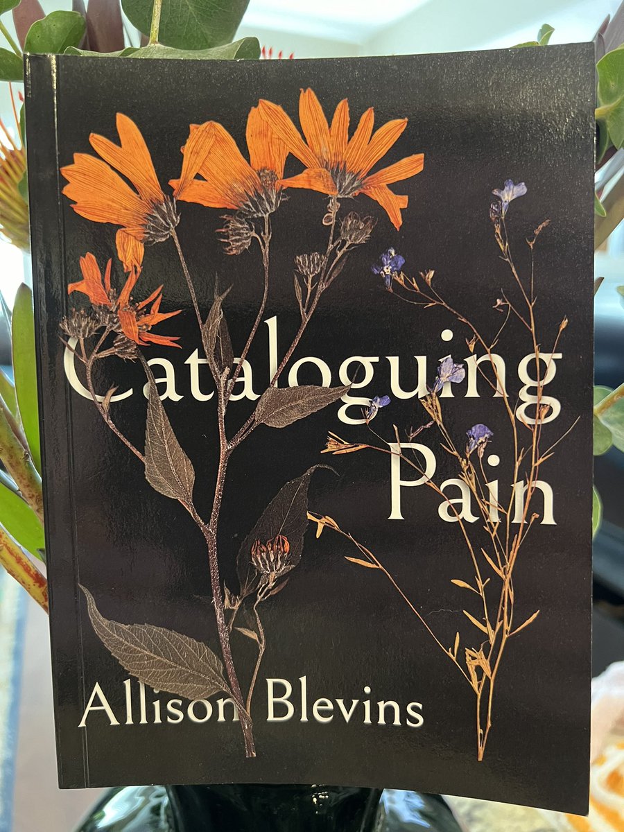 ShorterBC's tweet image. Thanks to Allison Blevins and all who attended Thursday’s meeting to discuss Cataloguing Pain. We had a wonderful discussion about this beautiful poetry collection, and Allison’s forthcoming work!