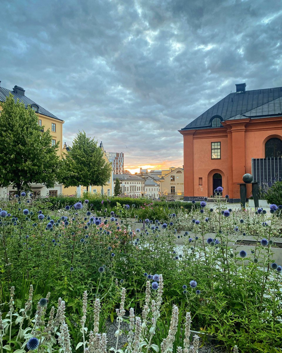 Sommartider och sommarnätter.