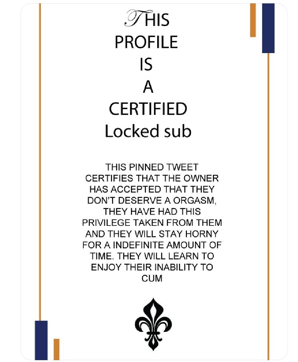 AmsterdamSubObject tweet media