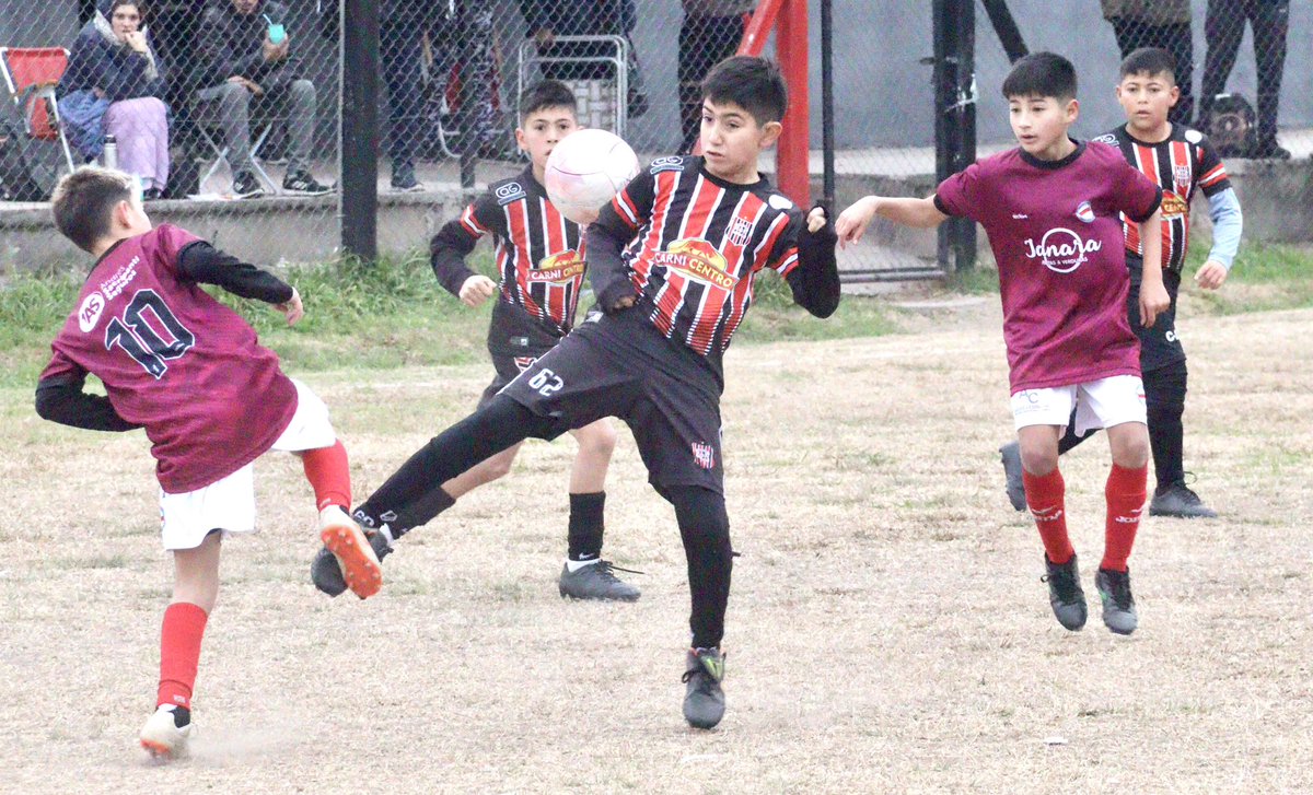ClubSeptiembre's tweet photo. Tricolores en Santa Fe 🇾🇪⚽️

Las Categorías 2012 y 2013 del Club #10DeSeptiembre siguen en acción en la 5 Edición de la Copa Cañada que organizan los clubes Adeo, América, NOB y Sport.

¡Jugamos para hacer amigos! 🫶🏻

¡Feliz Día! 🇾🇪

#Trico2024 ⚫️⚪️🔴 https://t.co/AfP1LA2PjM
